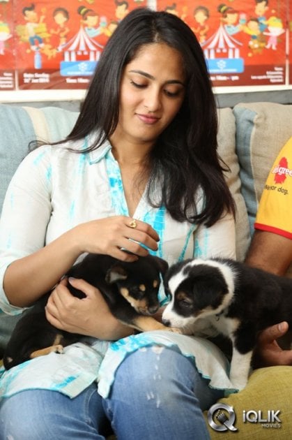 Anushka-at-Blue-Cross-Pet-Carnival-2014